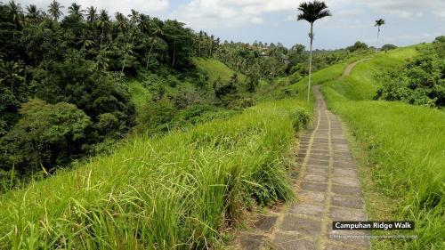 Hotel Zen Rooms Ubud Sayan