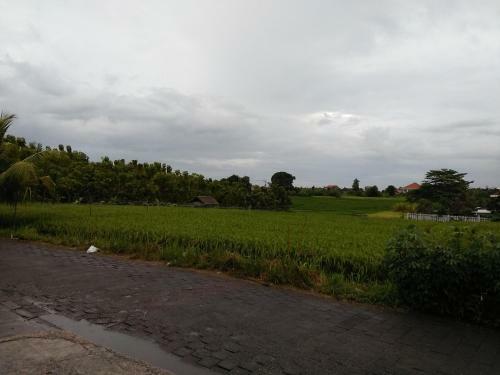 Hostal The Wina Guest House 2