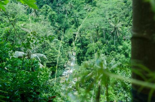 Hostal D'tepi Ubud House