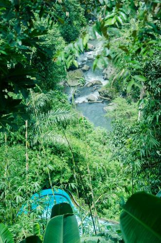 Hostal D'tepi Ubud House