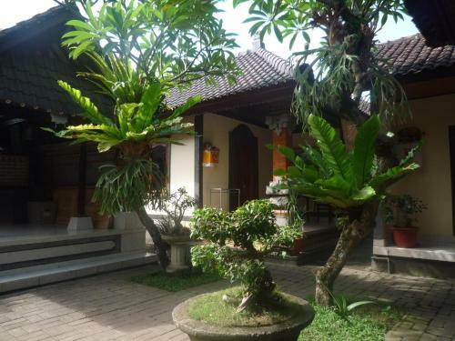 Hostal Shindu Home Stay
