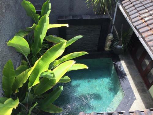De Cinta Villa