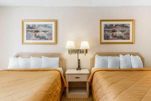 Hotel Rodeway Inn & Suites