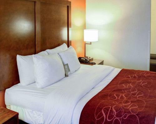 Hotel Comfort Suites
