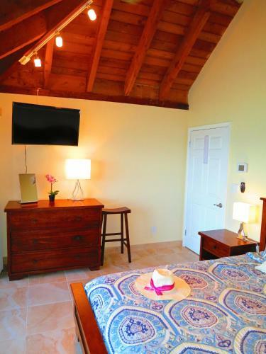 Hotel 2br Luxury Beachfront Duplex Villa On Sapphire Beach III