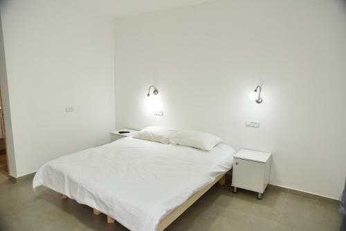 Villa Mansion Don Leone