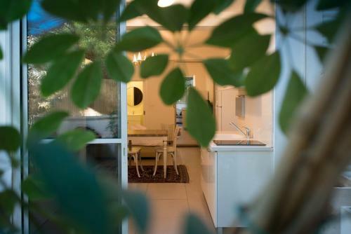 Apartamento D.z Complex - By Tlv2go