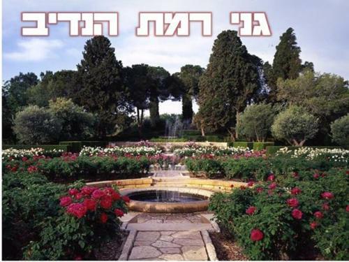 Apartamento Caesarea Vacation Rooms