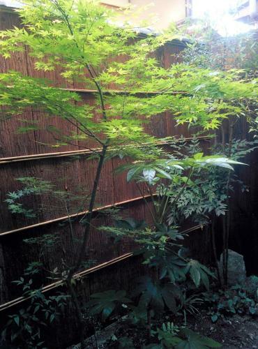 Murasakino Guesthouse