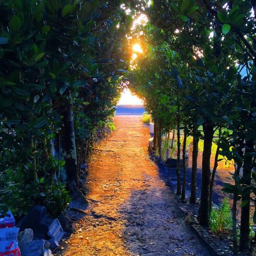 Hostal Pension Sea Shells