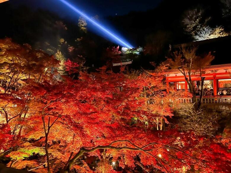 Hana-touro Hotel Gion