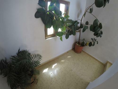 Apartamentos Vila Pollo