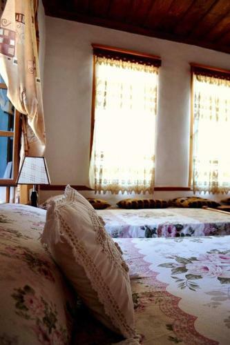 Hostal Guest House Vasili
