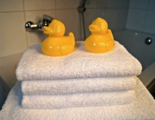 Apartamentos Winterberg Appartement 21080