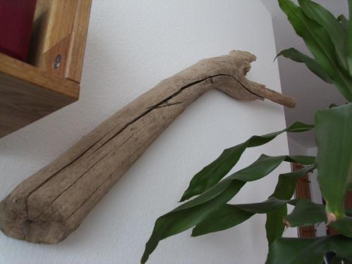 Apartamento Ferienhaus-anne-fw-5