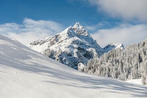 Apartamento Alpin Chalet Schr�cken