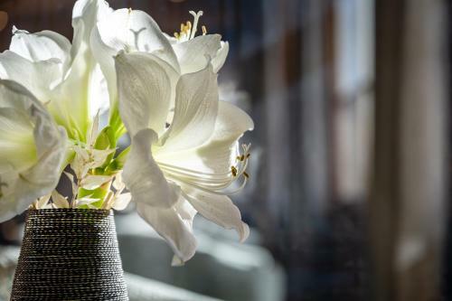Hotel Das Zw�lferhaus