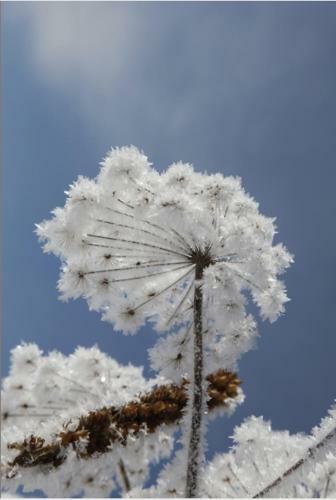 Hostal Pension Garni Maderer