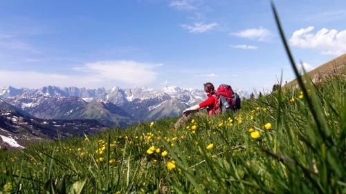 Apartamento Alpen-chalets Achensee