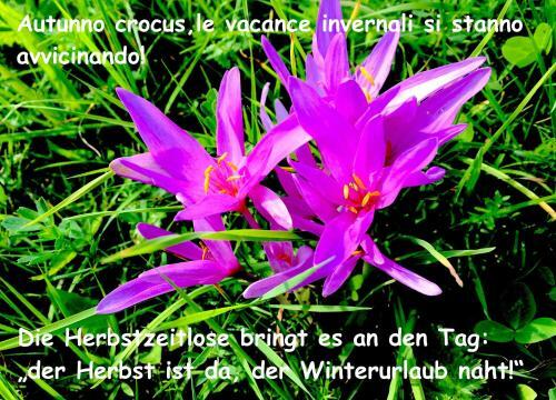 Apartamento Haus Wilhelmer