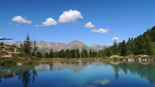 Alpinhotel Monte Superior