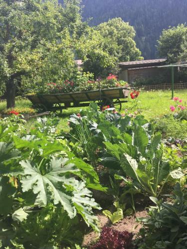Agroturismo Haus Stefan