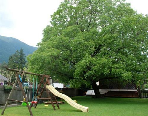 Hostal Pension Tannhof