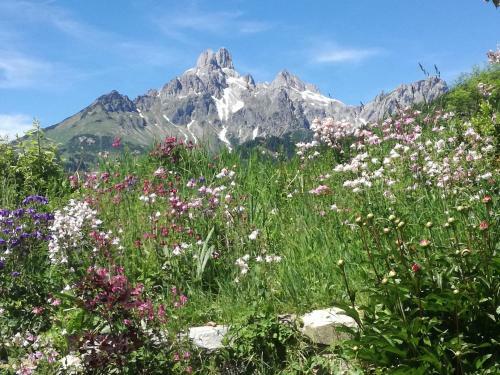 Apartamento Appartement Pilzhof