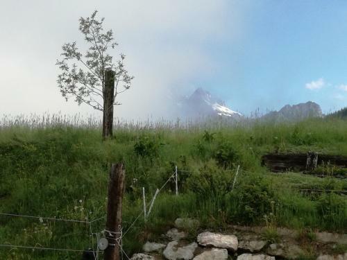 Apartamento Appartement Pilzhof