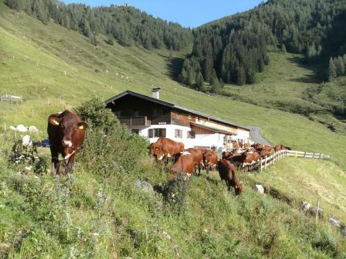 Agroturismo Biobauernhof Innergrub
