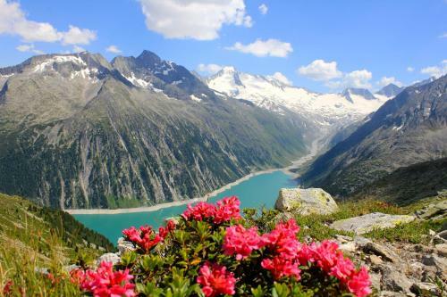 Apartamento Alpen Appartements Hochmuth