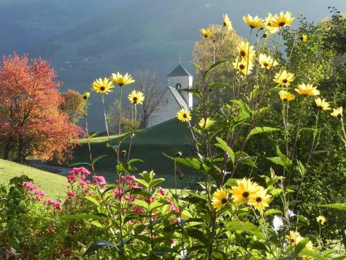 Agroturismo Matzenhof