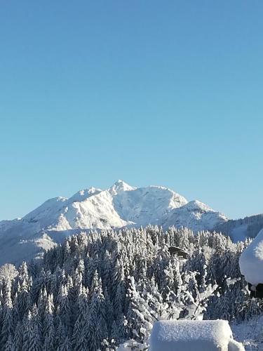 Apartamento Haus Horngacher