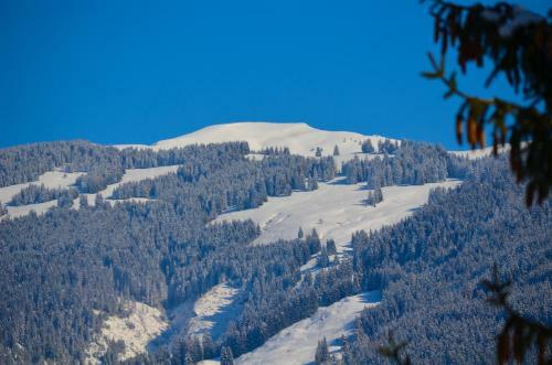 Apartment Snowmountain By Alpen Apartments