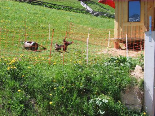 Agroturismo Oberauhof