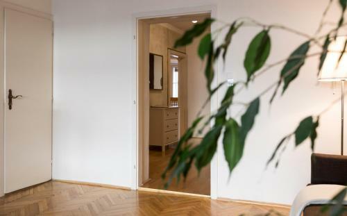 Apartamento Next2mozart-apartment