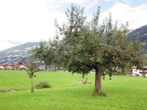 Holiday Home Talblick 1