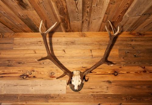 Apartamento Haus 4 Montafon By Pferd Auf Wolke