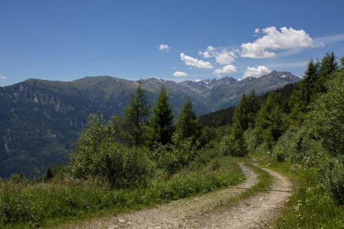 Panoramahotel Fliesserhof