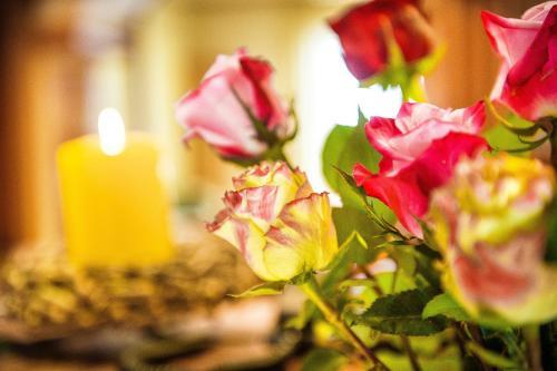 Apartamento Appartementhaus Gastein