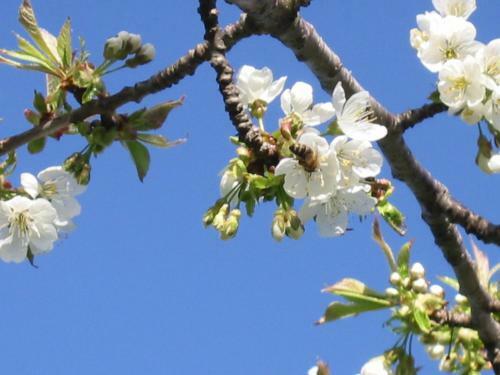 Agroturismo Bauernhof Unterh�fner