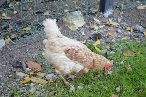 Agroturismo Bauernhof Unterh�fner