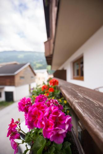 Apartamento Appartements Lilly Rose