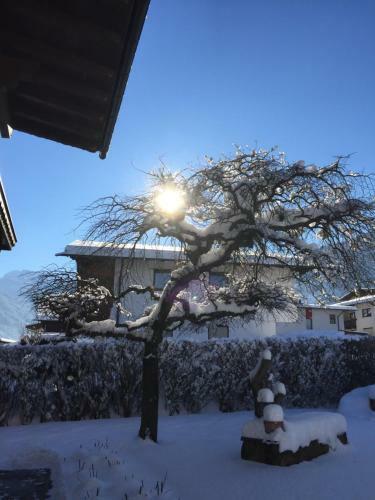 Apartamento G�stehaus Wildauer