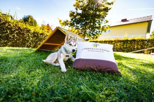 Lambrechterhof - Das Naturparkhotel