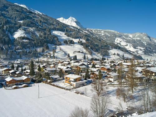 Apartamento G�stehaus Schernthaner