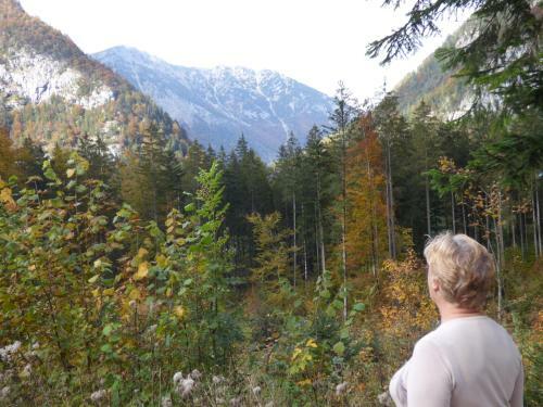 Apartamento Haus Bergblick