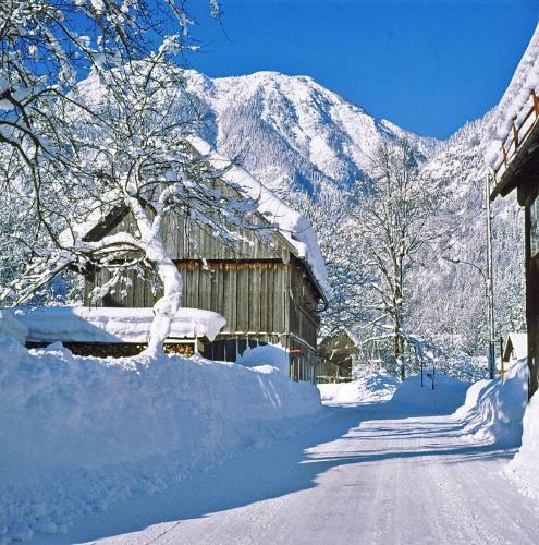Apartamento Haus Bergblick