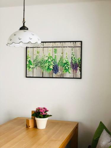 Bed & Breakfast Haus Kirchgasser