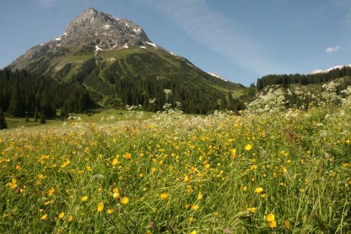 Hotel Garni L�rchenhof
